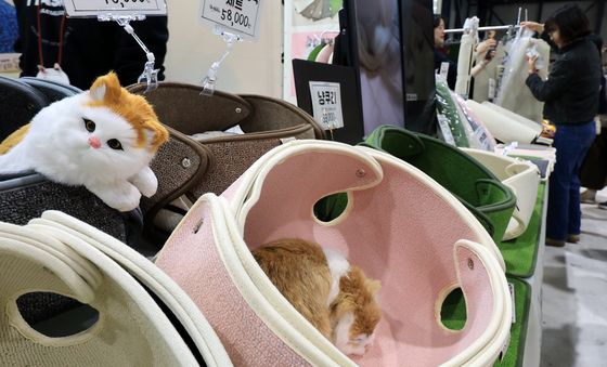 집냥이를 위한 '냥쿠리'