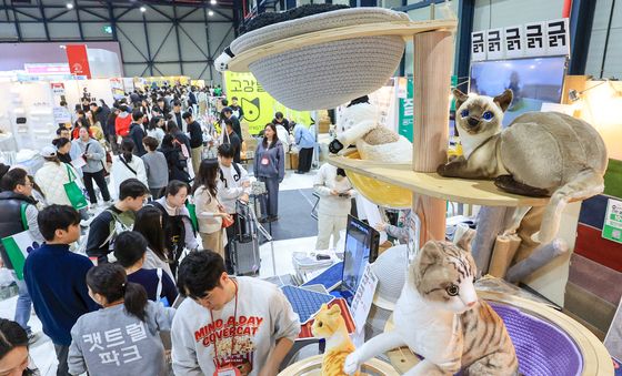 관람객들로 들끓는 궁디팡팡 캣페스타