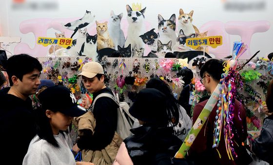 다양한 고양이 용품 만나보는 캣페스타