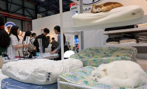 고양이 휴식용 방석 보고가세요