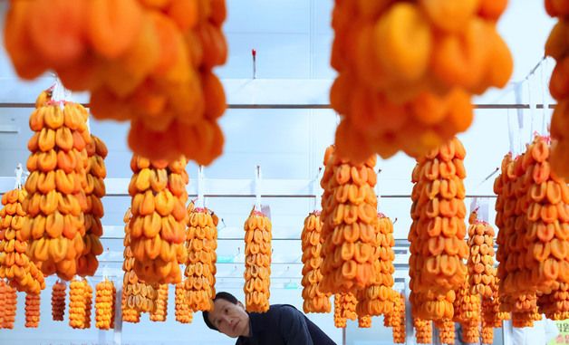 함양곶감은 어떻게 생겼을까