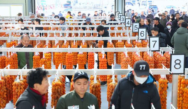 북적이는 함양곶감 초매식