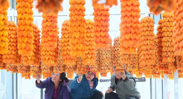 임금님도 반한 '지리산 함양곶감' 초매식