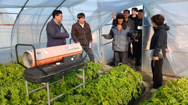 농진청, 겨울 시설 감자 재배 농가 방문