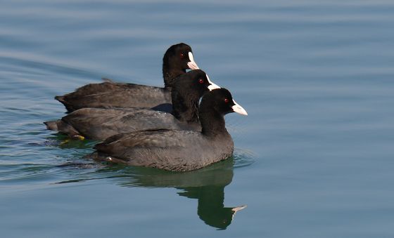 똑같은 모습으로