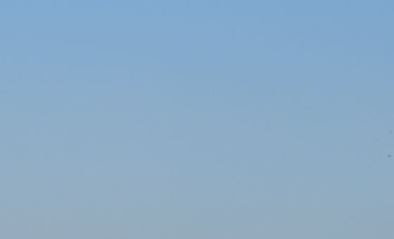 겨울 바다로 가자