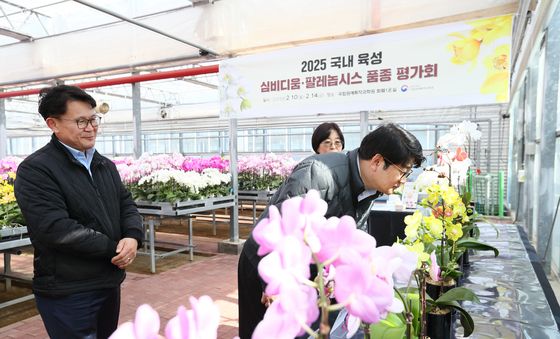 '팔레놉시스의 매력에 빠지다'