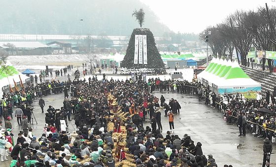 정월대보름맞이 청도군 도주줄당기기