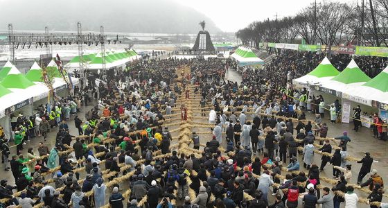 정월대보름, 도주줄당기기 "영차! 영차!"