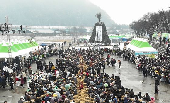 정월대보름 청도군 '도주줄당기기'