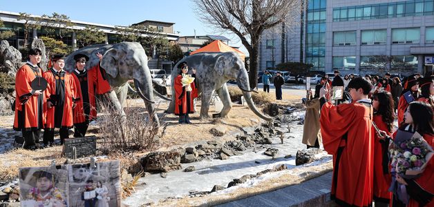 '졸업식에만 올라갈 수 있는 코끼리'