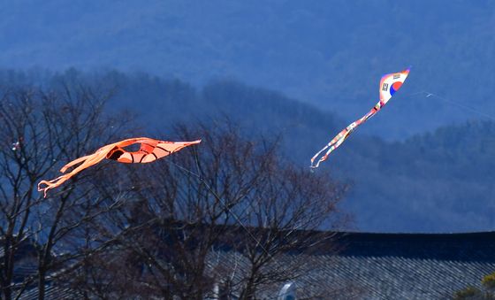연 날리기 좋은날