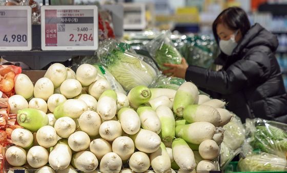 무 가격, 작년 동기 대비 88.4% 상승