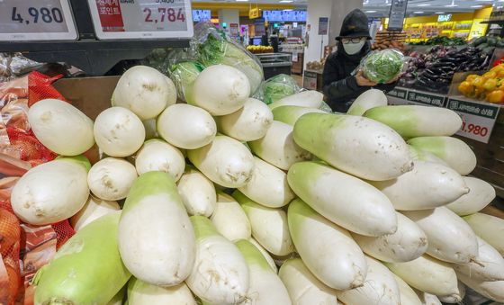 작년 동기 대비 '88.4% 상승'한 무 가격