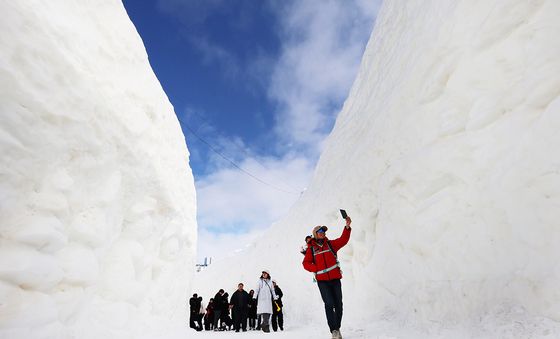 대관령눈꽃축제에서 추억 남기는 관광객들