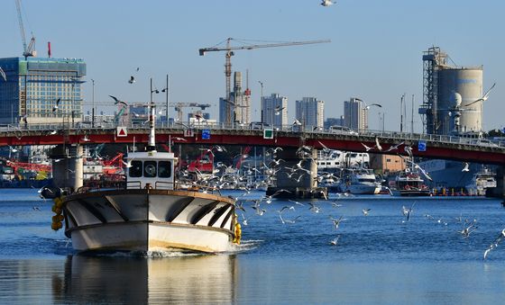 갈매기 환영 속 귀항