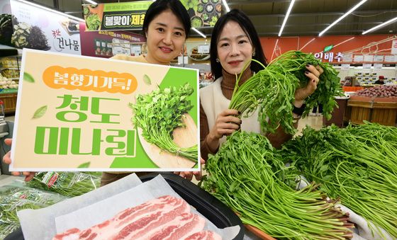 '청도 미나리로 봄을 느껴보세요'