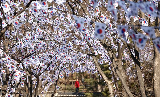 '태극기 꽃이 피었습니다'