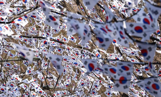 효창공원에 핀 '태극기 꽃'