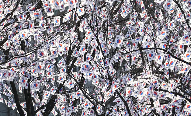 효창공원에 핀 '태극기 꽃'