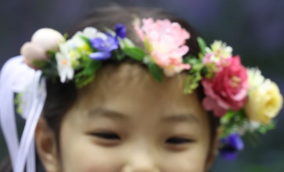 입춘과 함께 찾아온 나비