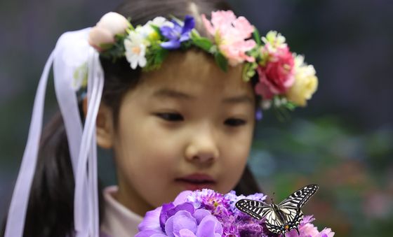 '나비 구경 왔어요'