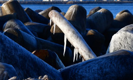 북극 추위 찾아온 포항