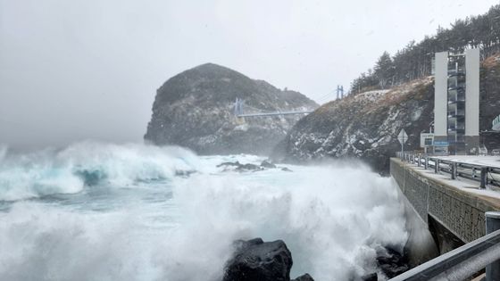 눈보라에 뒤덮인 울릉도