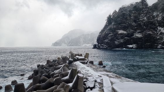 울릉도는 대설 경보