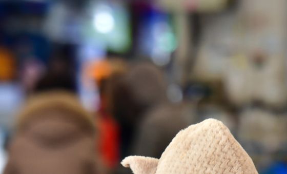 오늘은 너무 추워