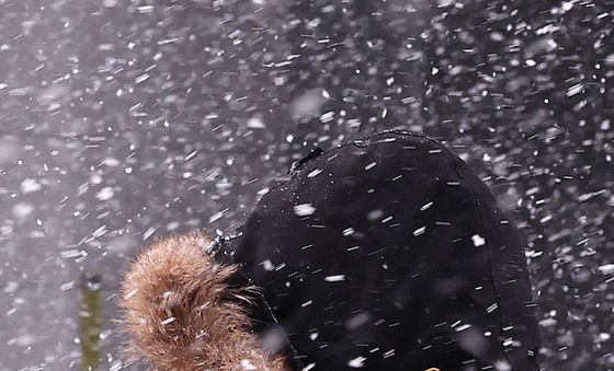 눈보라 치는 서울