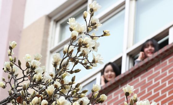 창밖에서 노크하는 봄