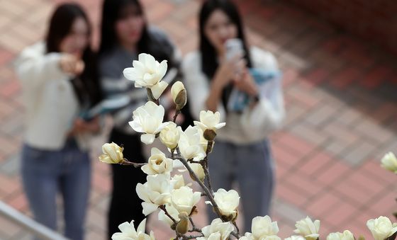 캠퍼스에 찾아온 봄