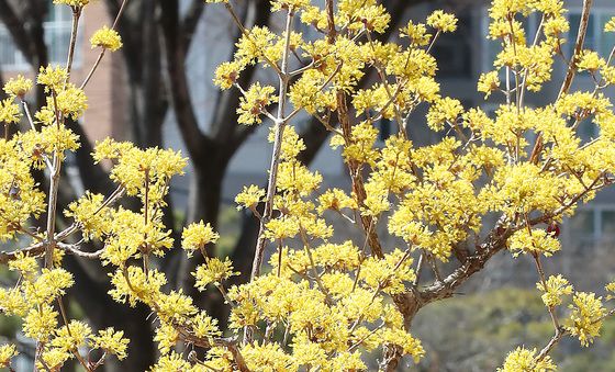 '패딩 다시 꺼내 입었어요'