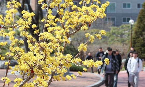 '패딩 다시 꺼내 입었어요'