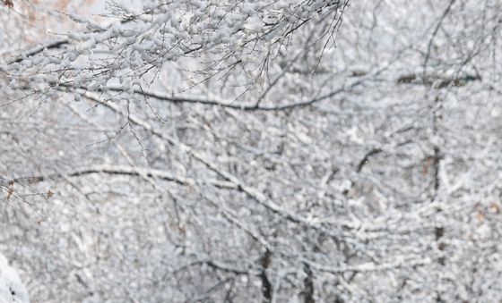 눈 쌓인 팔달산 산책하는 시민들