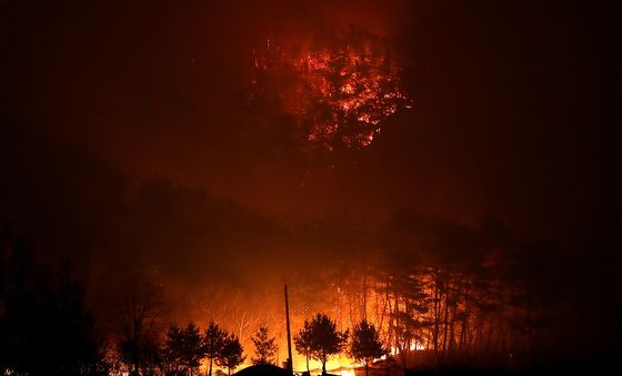 민가 삼킬 듯 달려드는 화마