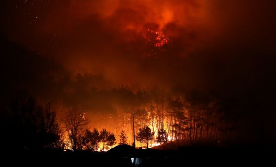 밤이면 다시 살아나는 화마