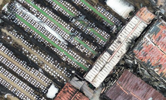 '전통의 맥' 이어왔는데…