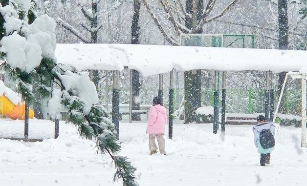 눈밭으로 변한 교정