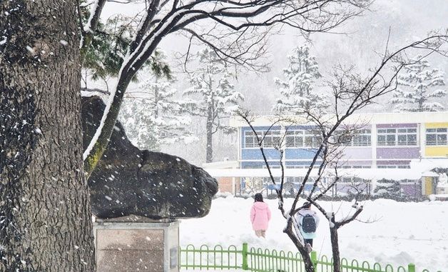 새하얀 눈밭으로 변한 교정