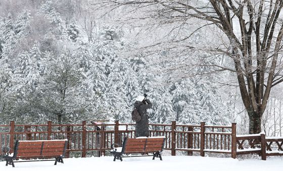'이 설경을 잊지 않기 위해'