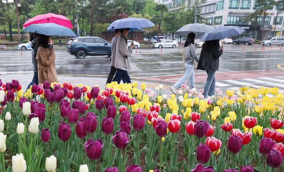 봄비 내리는 도심
