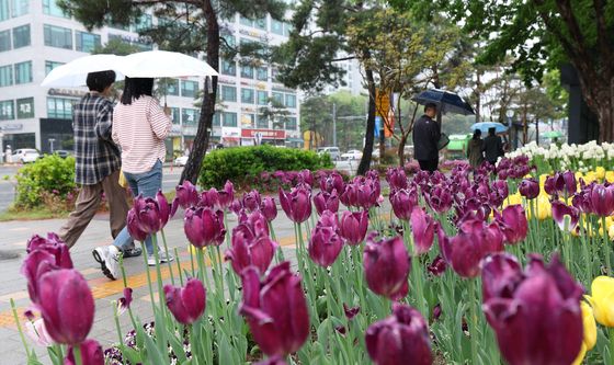 봄비 내리는 도심