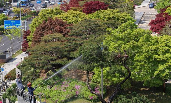 묵은 때 씻어내는 천년향