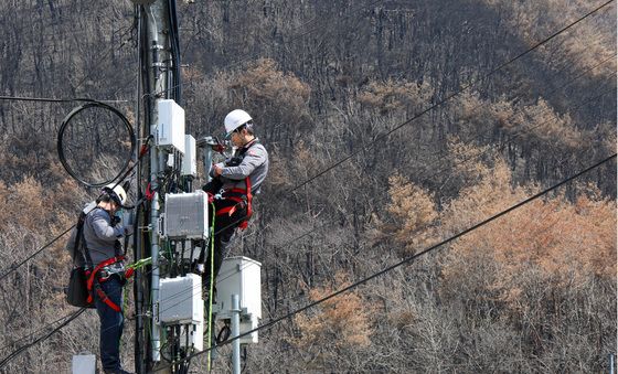 산불 피해 경북지역 통신 복구 작업