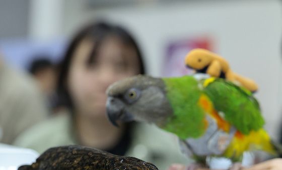 이색 애완동물의 모든 것