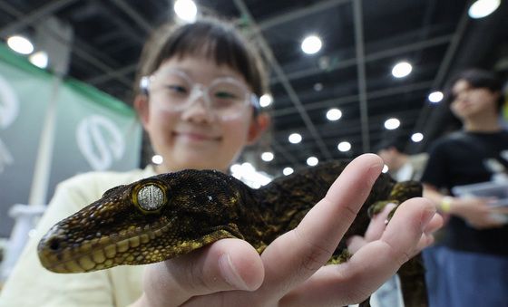 이색 애완동물의 부드러운 감촉