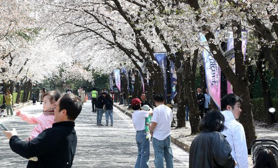 벌써 봄이 지나?