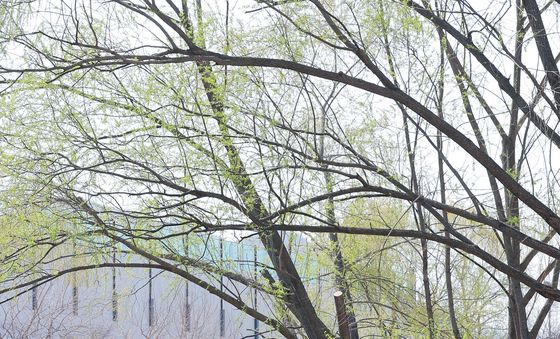 '뗏목 체험 시작합니다'